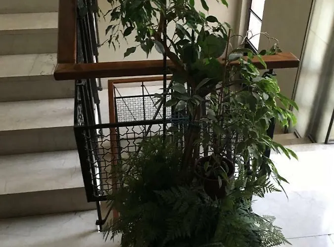 Leoni Charminghouse * Milán